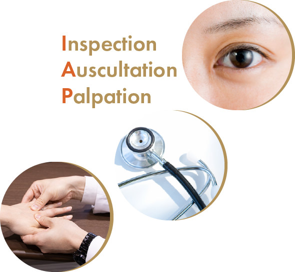 Inspection
Auscultation
Palpation
診療ご案内イメージ画像